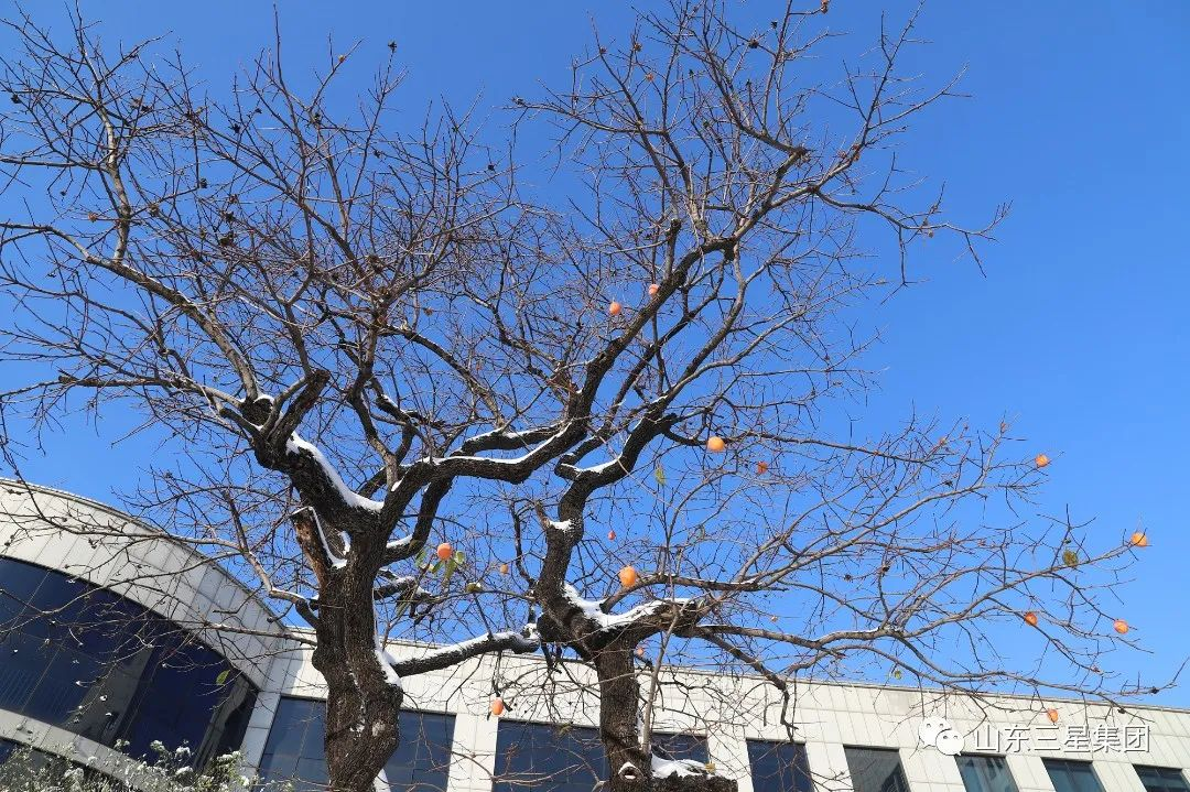 這樣的三星，你愛了嗎?