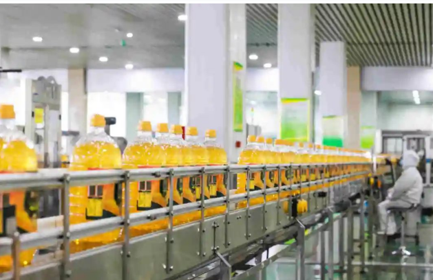 【轉自學習強國】共繪祖國海岸線｜山東濱州鄒平市：讓玉米金胚芽長出繁茂的“長壽之花”