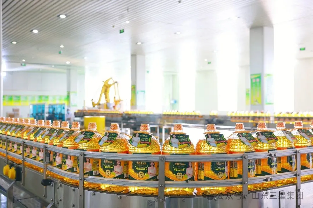 山東三星集團(tuán)六個(gè)項(xiàng)目入選2025年山東?。ǖ谝慌┢髽I(yè)技術(shù)創(chuàng)新項(xiàng)目計(jì)劃